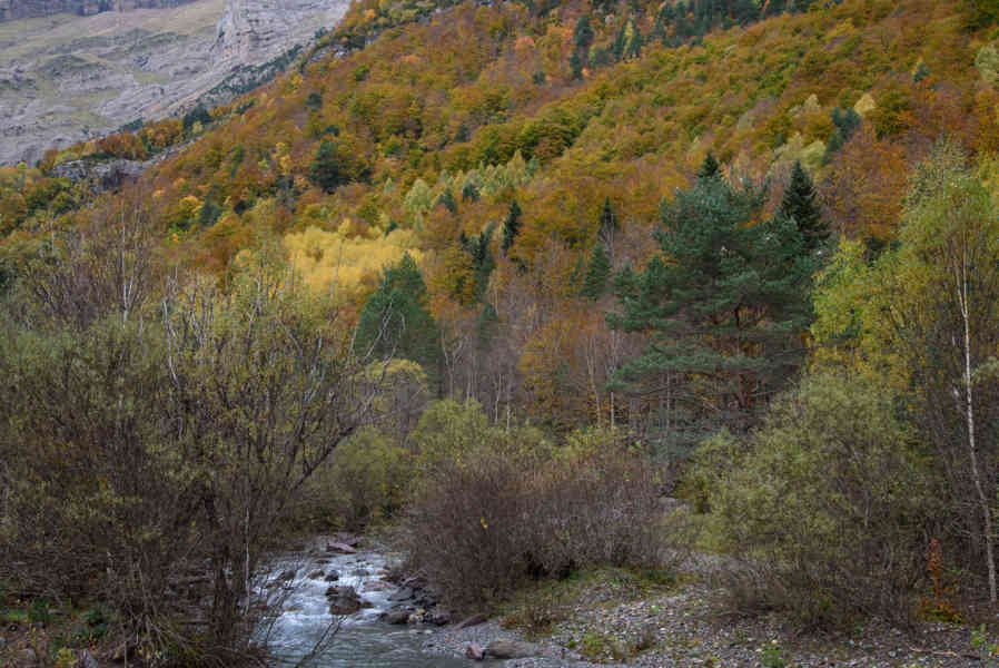 Huesca - parque nacional de Ordesa y Monte Perdido - valle de Pineta 14 - rio Cinca.jpg